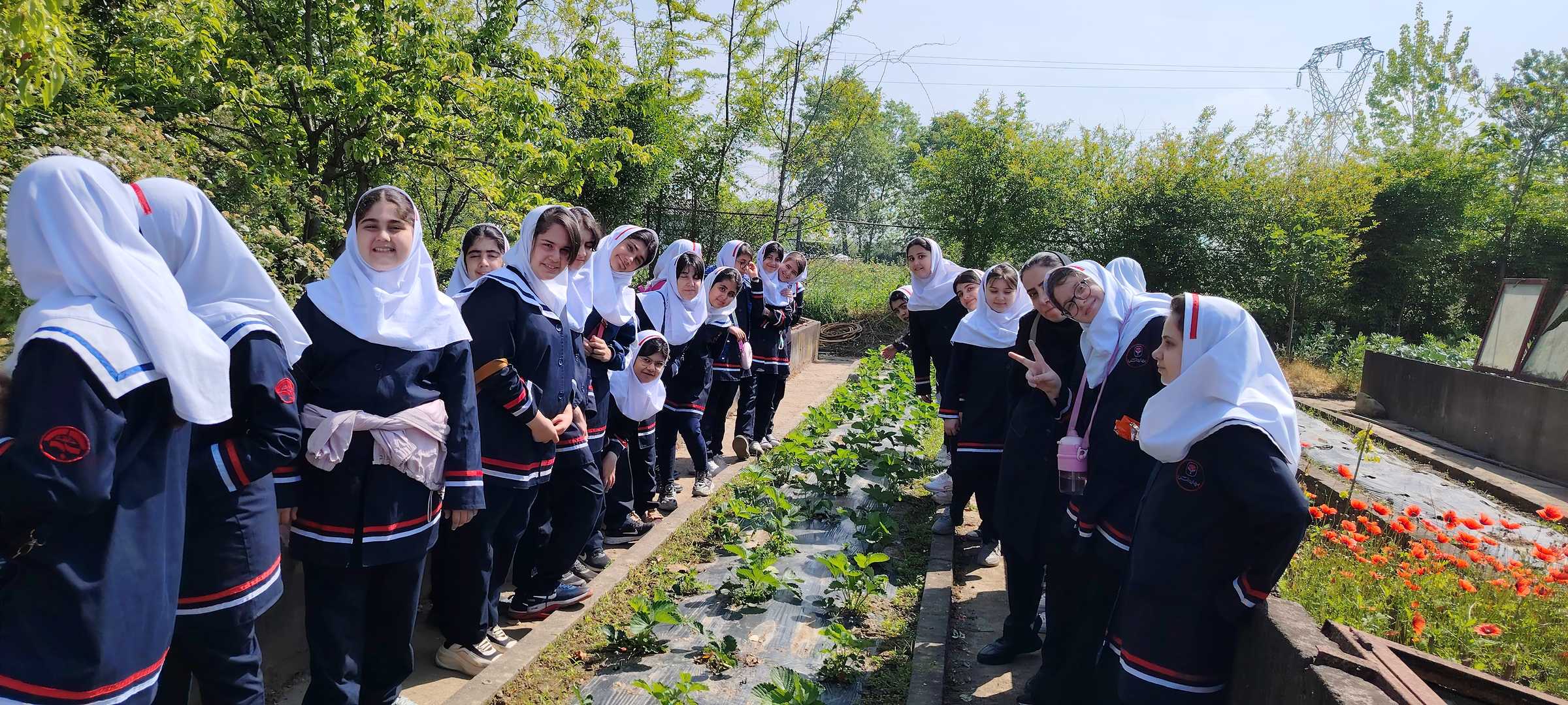 بازدید از گلخانه آموزشی علامه طباطبایی پایه پنجم
